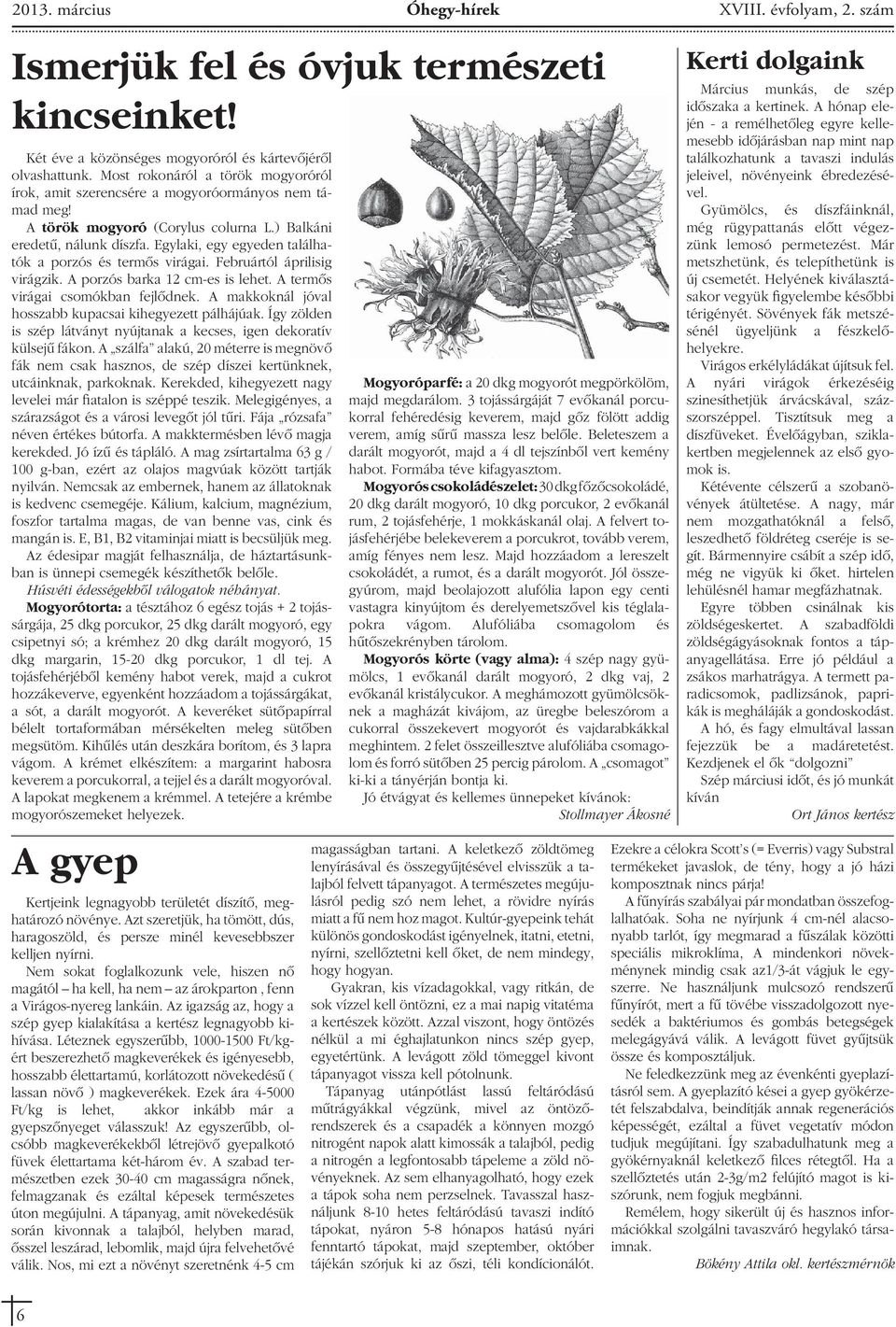 Egylaki, egy egyeden találhatók a porzós és termôs virágai. Februártól áprilisig virágzik. A porzós barka 12 cm-es is lehet. A termôs virágai csomókban fejlôdnek.
