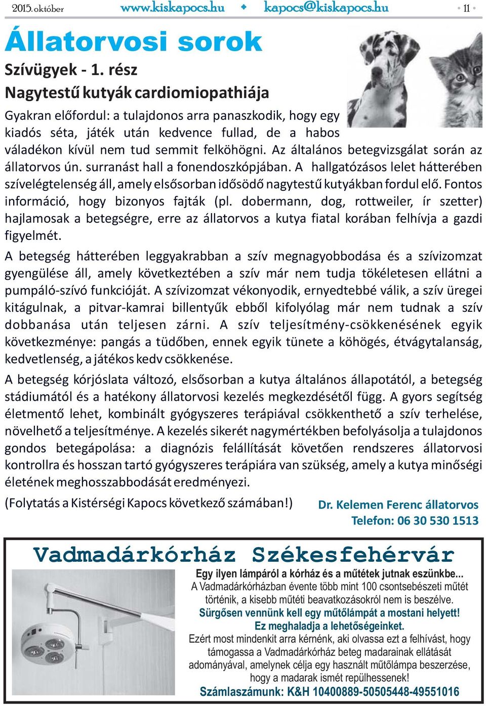 Az általános betegvizsgálat során az állatorvos ún. surranást hall a fonendoszkópjában. A hallgatózásos lelet hátterében szívelégtelenség áll, amely elsősorban idősödő nagytestű kutyákban fordul elő.