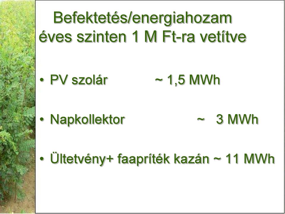 szolár ~ 1,5 MWh Napkollektor ~