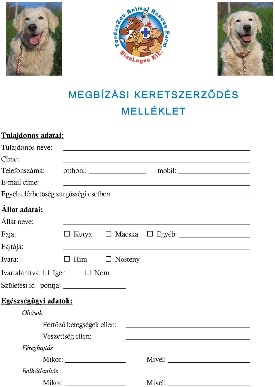 MEGBÍZÁSI KERETSZERZŐDÉS - PDF Ingyenes letöltés