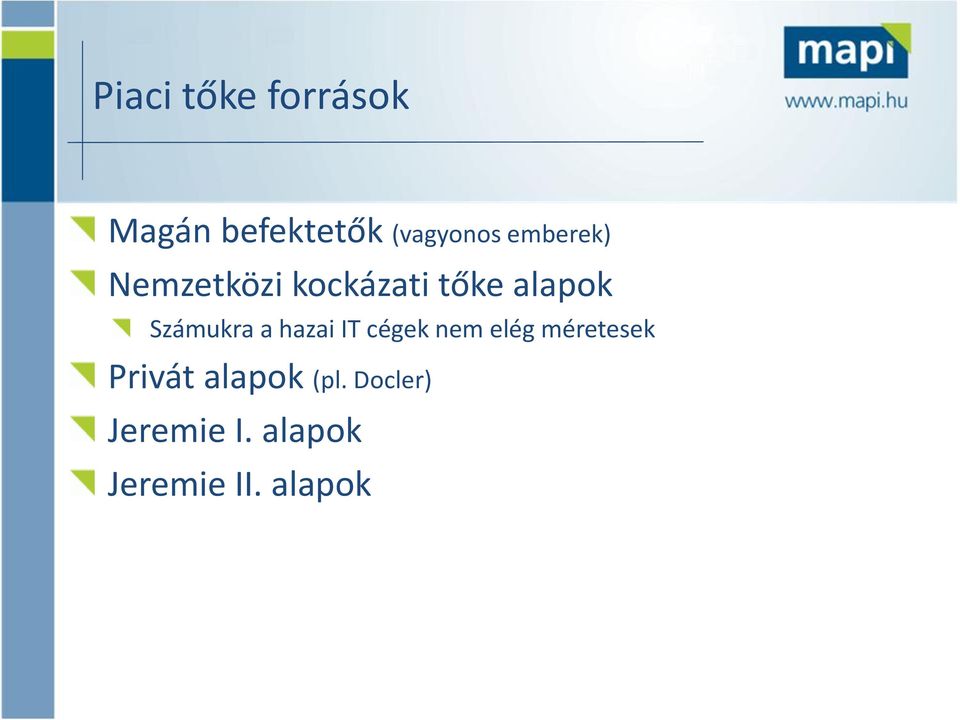 Számukra a hazai IT cégek nem elég méretesek