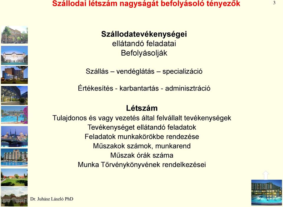 Tulajdonos és vagy vezetés által felvállalt tevékenységek Tevékenységet ellátandó feladatok