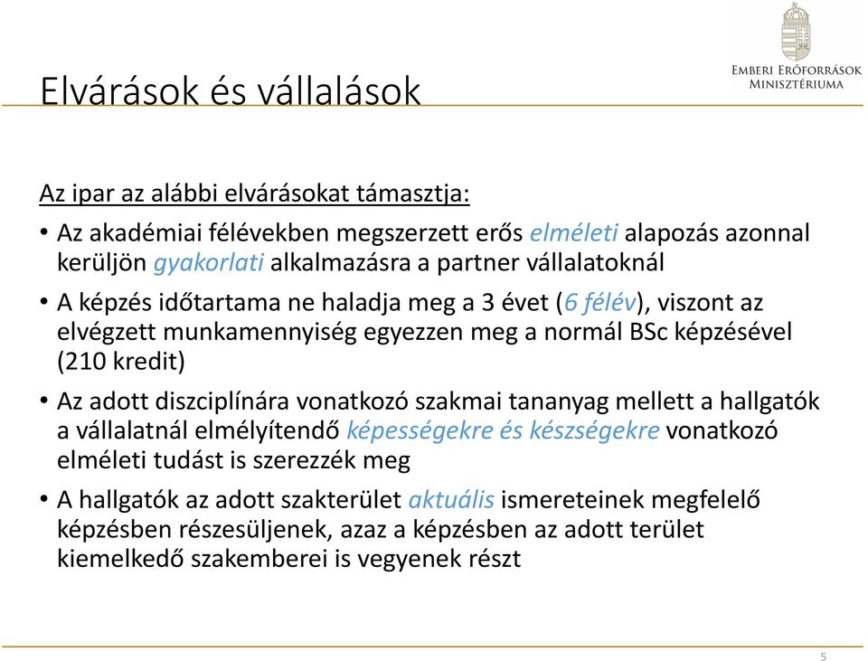 Az adott diszciplínára vonatkozó szakmai tananyag mellett a hallgatók a vállalatnál elmélyítendő képességekre és készségekre vonatkozó elméleti tudást is szerezzék