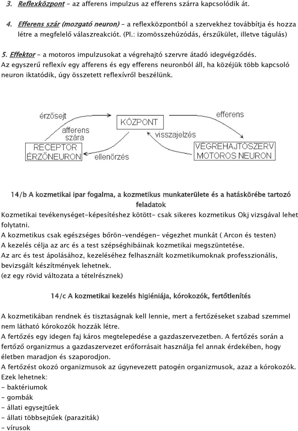 Az egyszerű reflexív egy afferens és egy efferens neuronból áll, ha közéjük több kapcsoló neuron iktatódik, úgy összetett reflexívről beszélünk.