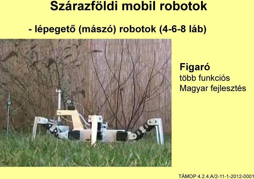 robotok (4-6-8 láb)