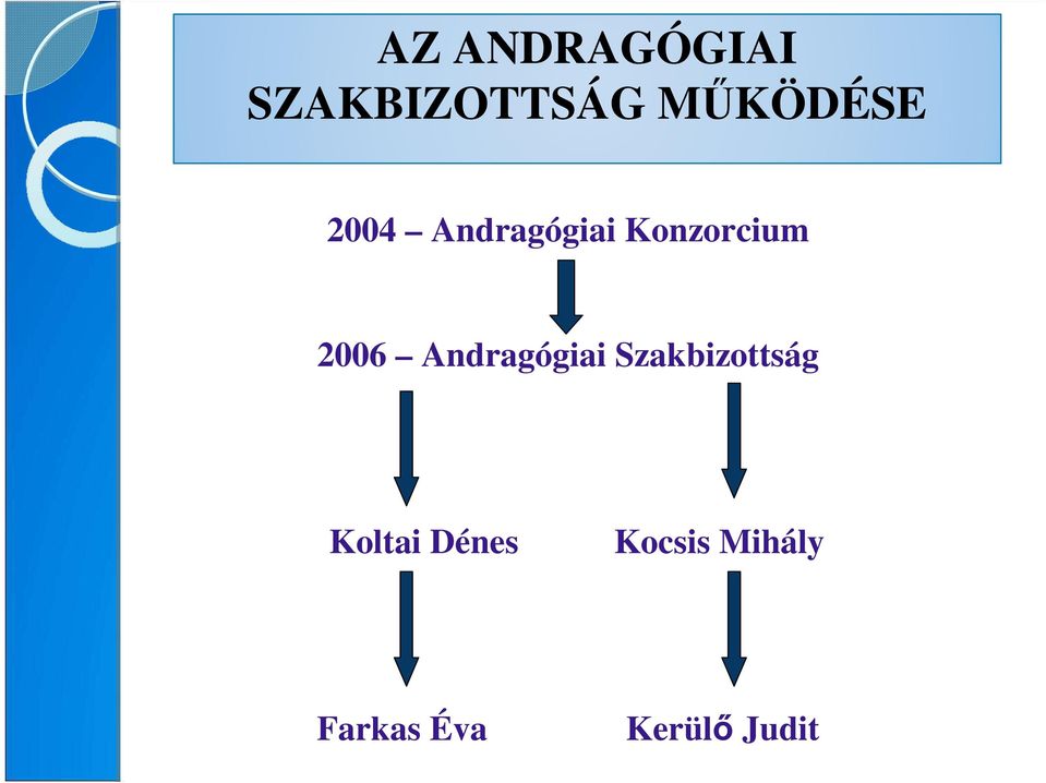 2006 Andragógiai Szakbizottság
