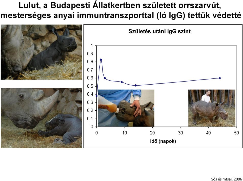 immuntranszporttal (ló IgG) tettük védetté