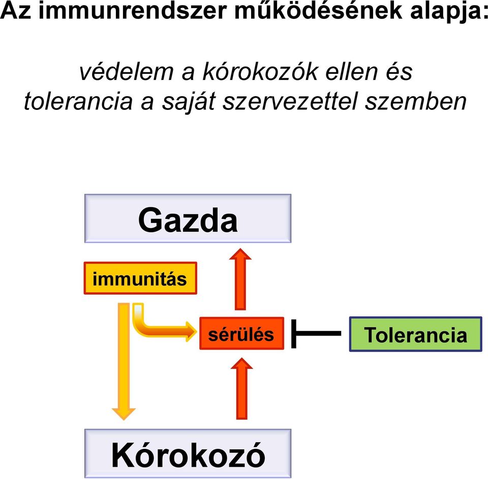 tolerancia a saját szervezettel