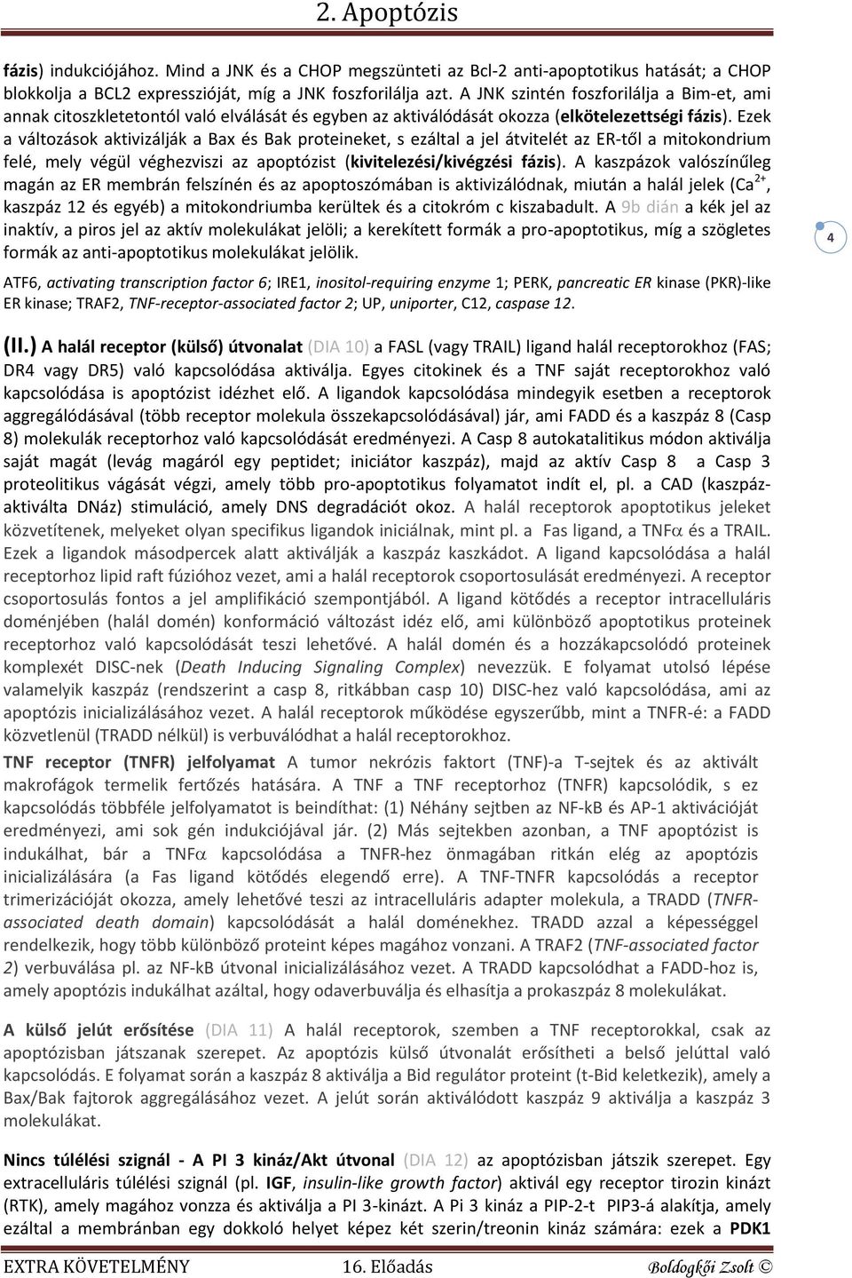 Ezek a változások aktivizálják a Bax és Bak proteineket, s ezáltal a jel átvitelét az ER-től a mitokondrium felé, mely végül véghezviszi az apoptózist (kivitelezési/kivégzési fázis).