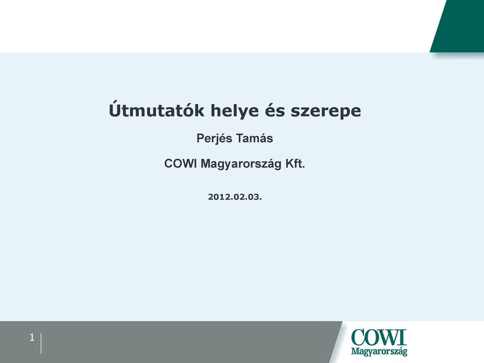 Tamás COWI