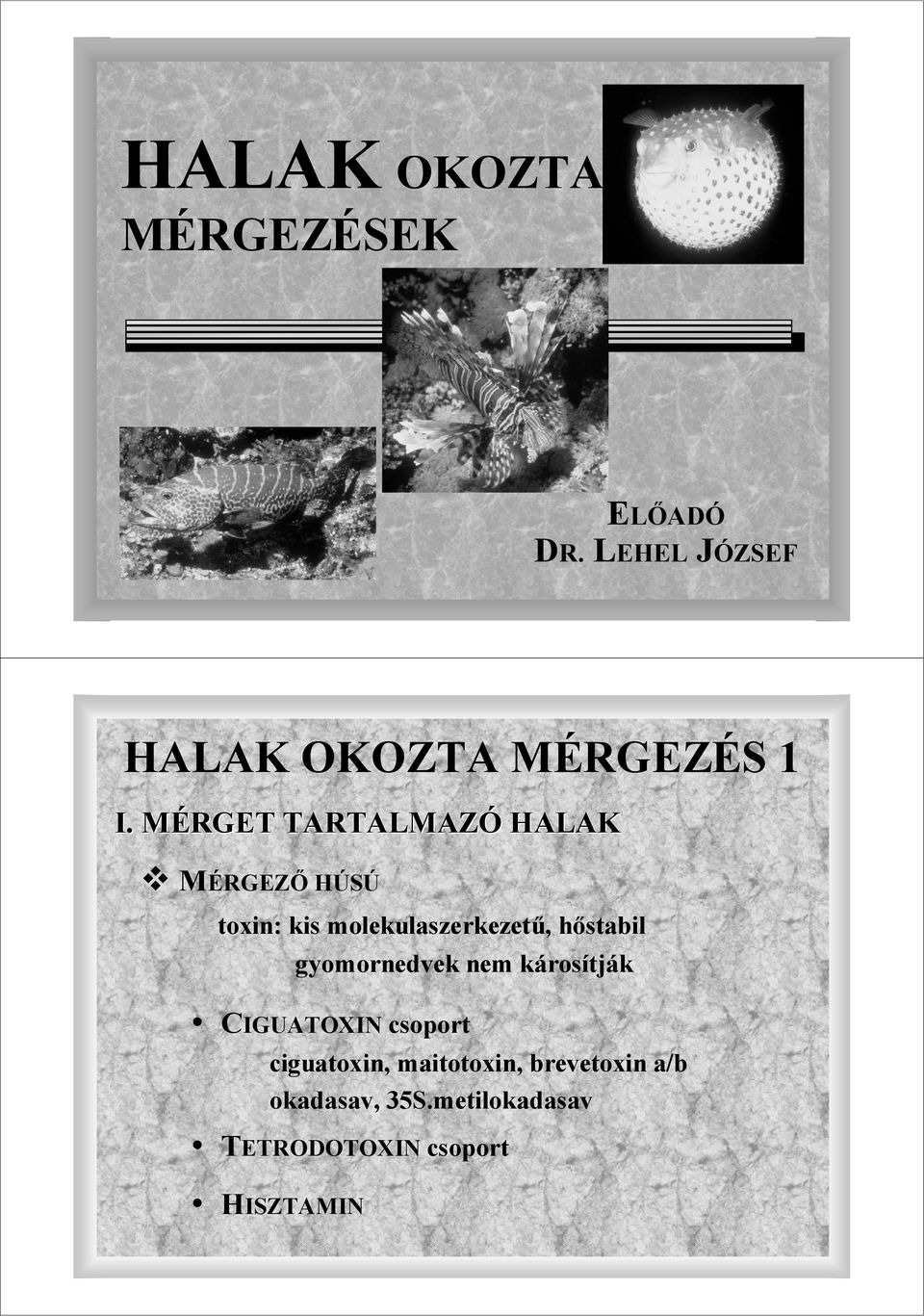 MÉRGET TARTALMAZÓ HALAK MÉRGEZİ HÚSÚ toxin: kis molekulaszerkezető,