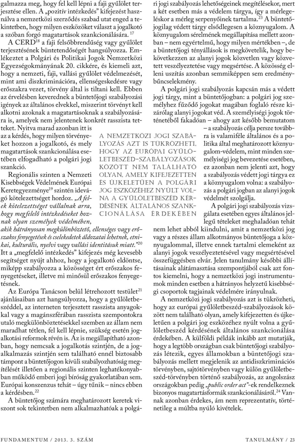A pozitív intézkedés kifejezést használva a nemzetközi szerződés szabad utat enged a tekintetben, hogy milyen eszközöket választ a jog alkotó a szóban forgó magatartások szankcionálására.