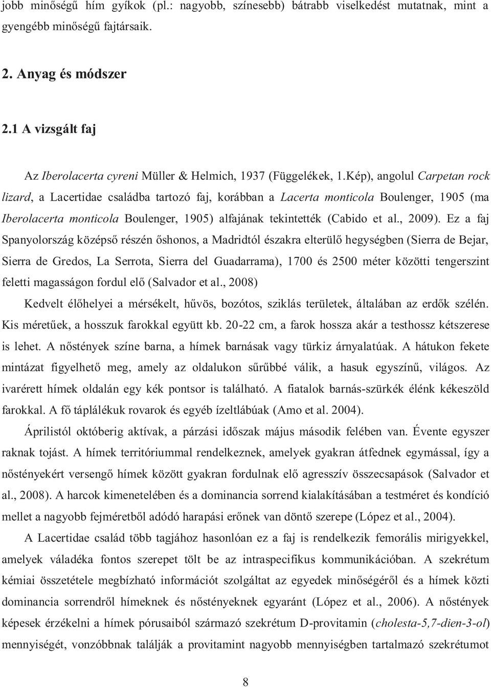 Kép), angolul Carpetan rock lizard, a Lacertidae családba tartozó faj, korábban a Lacerta monticola Boulenger, 1905 (ma Iberolacerta monticola Boulenger, 1905) alfajának tekintették (Cabido et al.