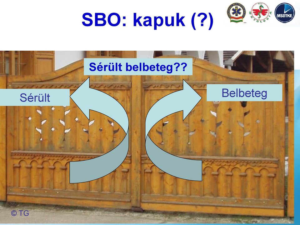belbeteg?
