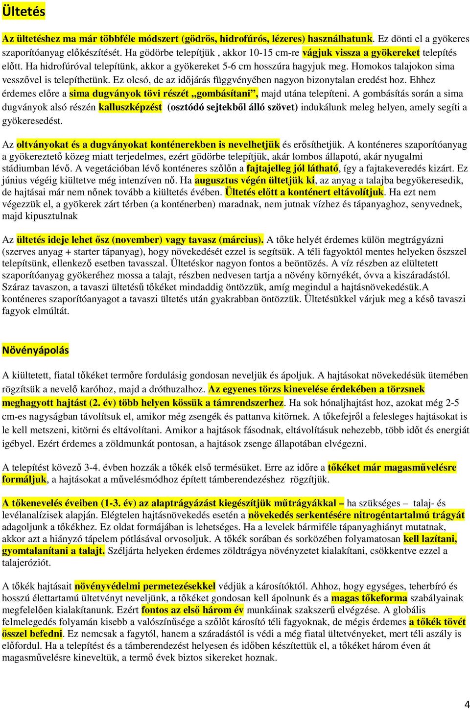 Homokos talajokon sima vesszővel is telepíthetünk. Ez olcsó, de az időjárás függvényében nagyon bizonytalan eredést hoz.