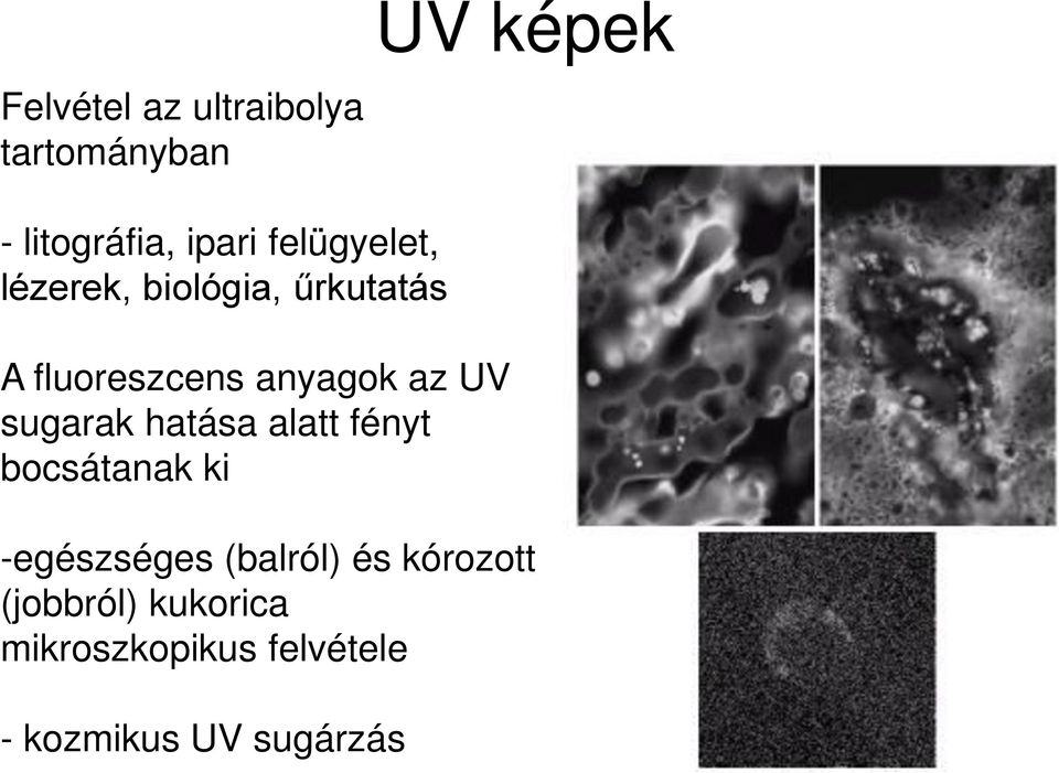 UV sugarak hatása alatt fényt bocsátanak ki -egészséges (balról) és