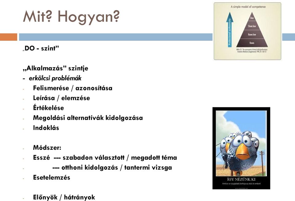 azonosítása - Leírása / elemzése - Értékelése - Megoldási alternatívák