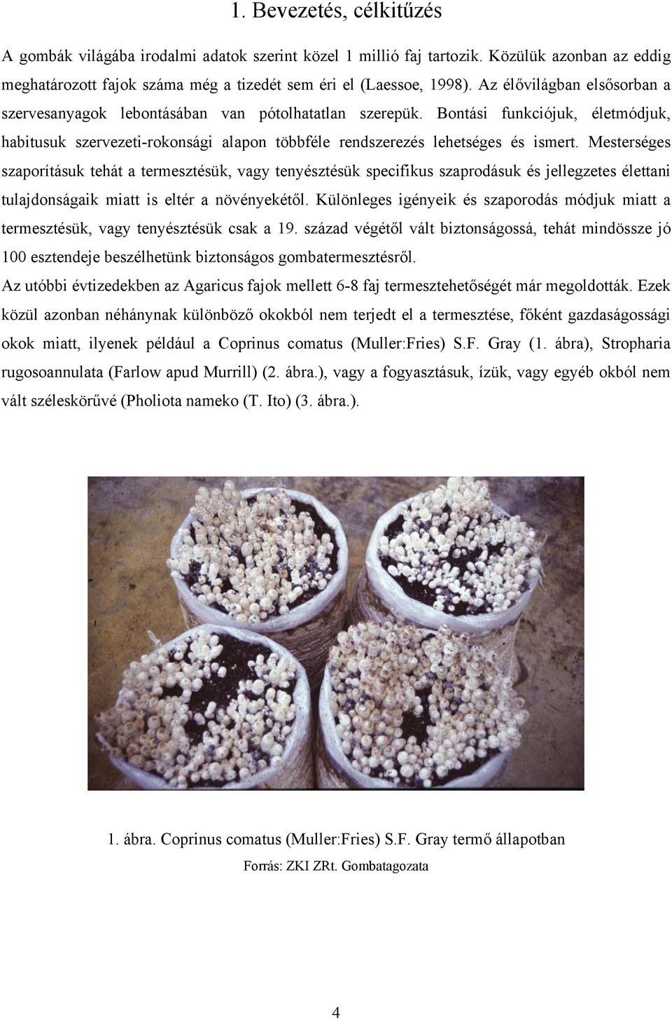 Mesterséges szaporításuk tehát a termesztésük, vagy tenyésztésük specifikus szaprodásuk és jellegzetes élettani tulajdonságaik miatt is eltér a növényekétől.