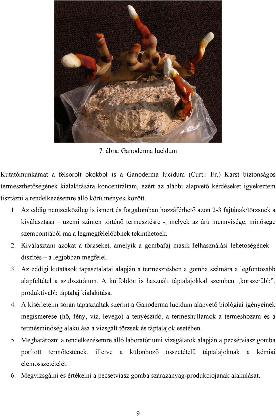 Az eddig nemzetközileg is ismert és forgalomban hozzáférhető azon 2-3 fajtának/törzsnek a kiválasztása üzemi szinten történő termesztésre -, melyek az árú mennyisége, minősége szempontjából ma a