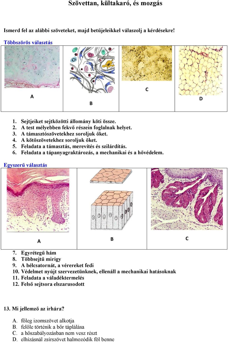Feladata a tápanyagraktározás, a mechanikai és a hővédelem. Egyszerű választás A B C 7. Egyrétegű hám 8. Többsejtű mirigy 9. A bélcsatornát, a vérereket fedi 10.