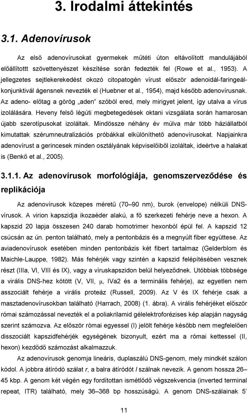 Az adeno- elıtag a görög aden szóból ered, mely mirigyet jelent, így utalva a vírus izolálására. Heveny felsı légúti megbetegedések oktani vizsgálata során hamarosan újabb szerotípusokat izoláltak.