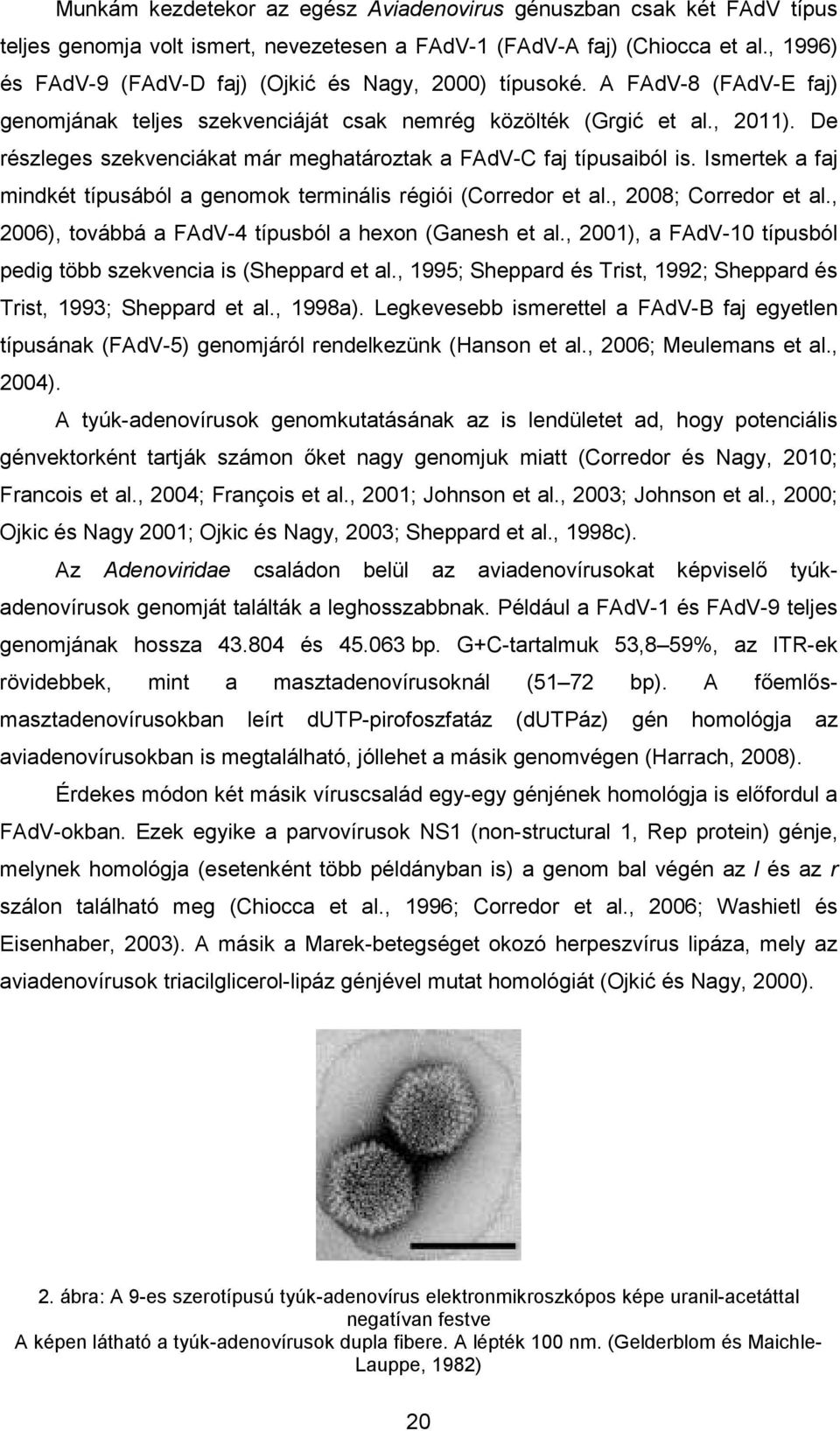 De részleges szekvenciákat már meghatároztak a FAdV-C faj típusaiból is. Ismertek a faj mindkét típusából a genomok terminális régiói (Corredor et al., 2008; Corredor et al.