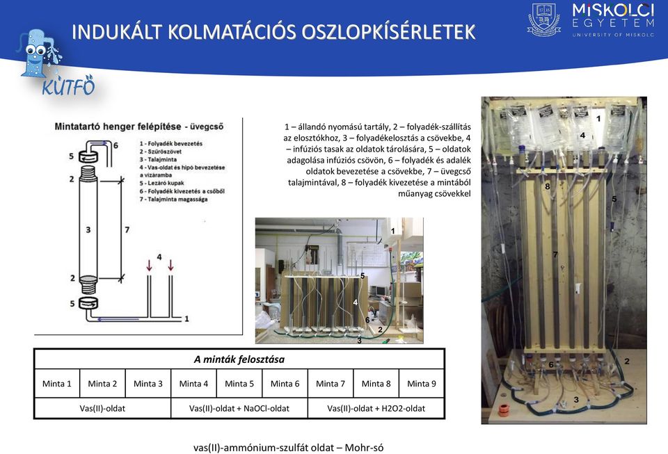 üvegcső talajmintával, 8 folyadék kivezetése a mintából műanyag csövekkel A minták felosztása Minta 1 Minta 2 Minta 3 Minta 4 Minta 5