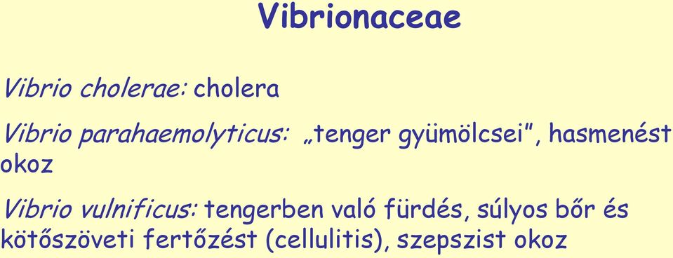 okoz Vibrio vulnificus: tengerben való fürdés,