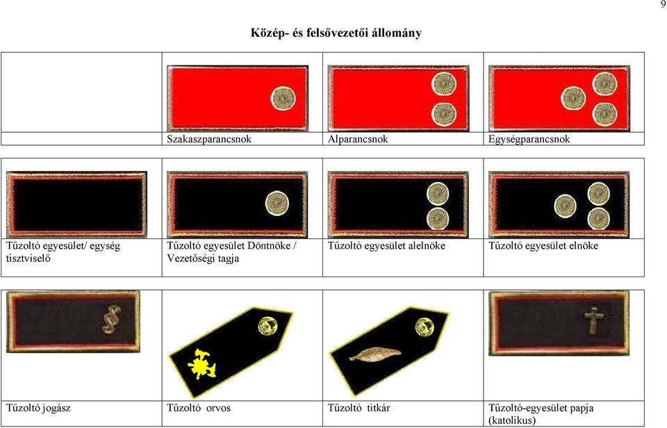 Döntnöke / Vezetőségi tagja Tűzoltó egyesület alelnöke Tűzoltó egyesület