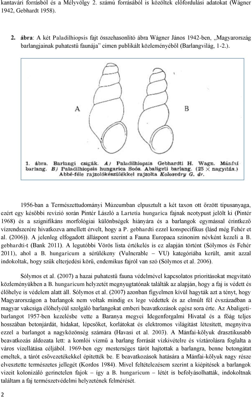 ábra: A két Paladilhiopsis fajt összehasonlító ábra Wágner János 1942-ben, Magyarország barlangjainak puhatestű faunája címen publikált közleményéből (Barlangvilág, 1-2.).