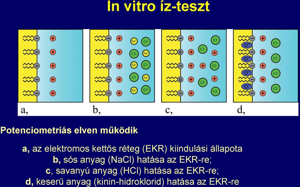 anyag (NaCl) hatása az EKR-re; c, savanyú anyag (HCl)