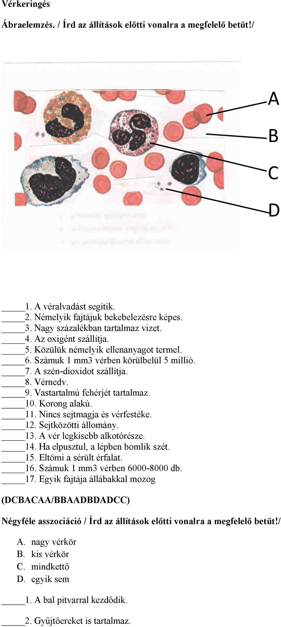 Korong alakú. 11. Nincs sejtmagja és vérfestéke. 12. Sejtközötti állomány. 13. A vér legkisebb alkotórésze. 14. Ha elpusztul, a lépben bomlik szét. 15. Eltömi a sérült érfalat. 16.