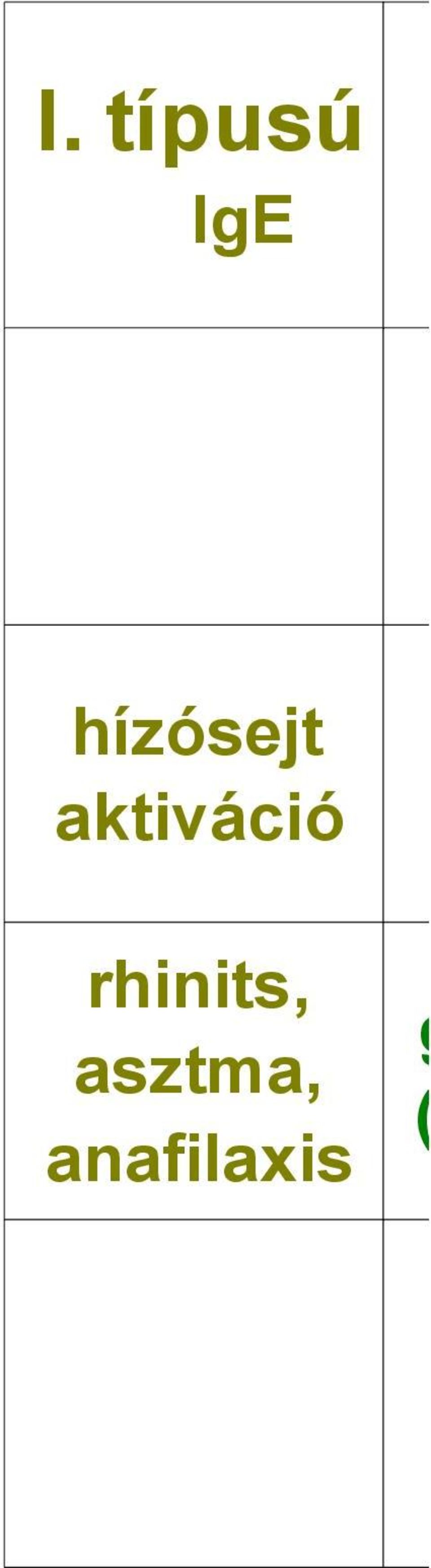 sejtek megváltozott jelátvitel komplement, fagocitózis makrofág aktiváció citotoxicitás rhinits, asztma, anafilaxis gyógyszerallergia