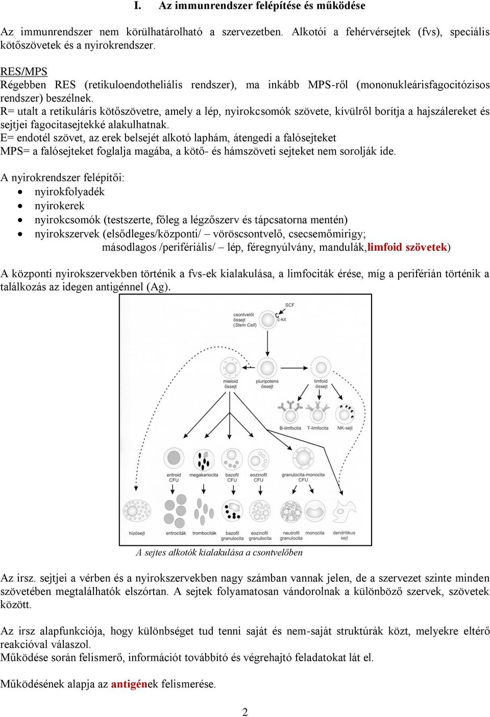 R= utalt a retikuláris kötőszövetre, amely a lép, nyirokcsomók szövete, kívülről borítja a hajszálereket és sejtjei fagocitasejtekké alakulhatnak.