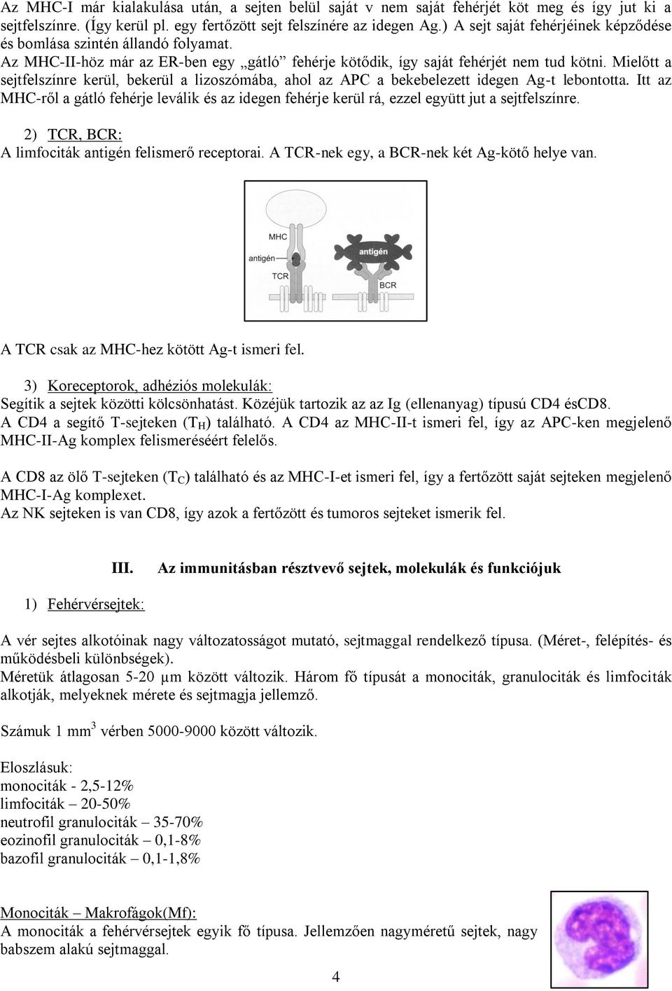 Mielőtt a sejtfelszínre kerül, bekerül a lizoszómába, ahol az APC a bekebelezett idegen Ag-t lebontotta.