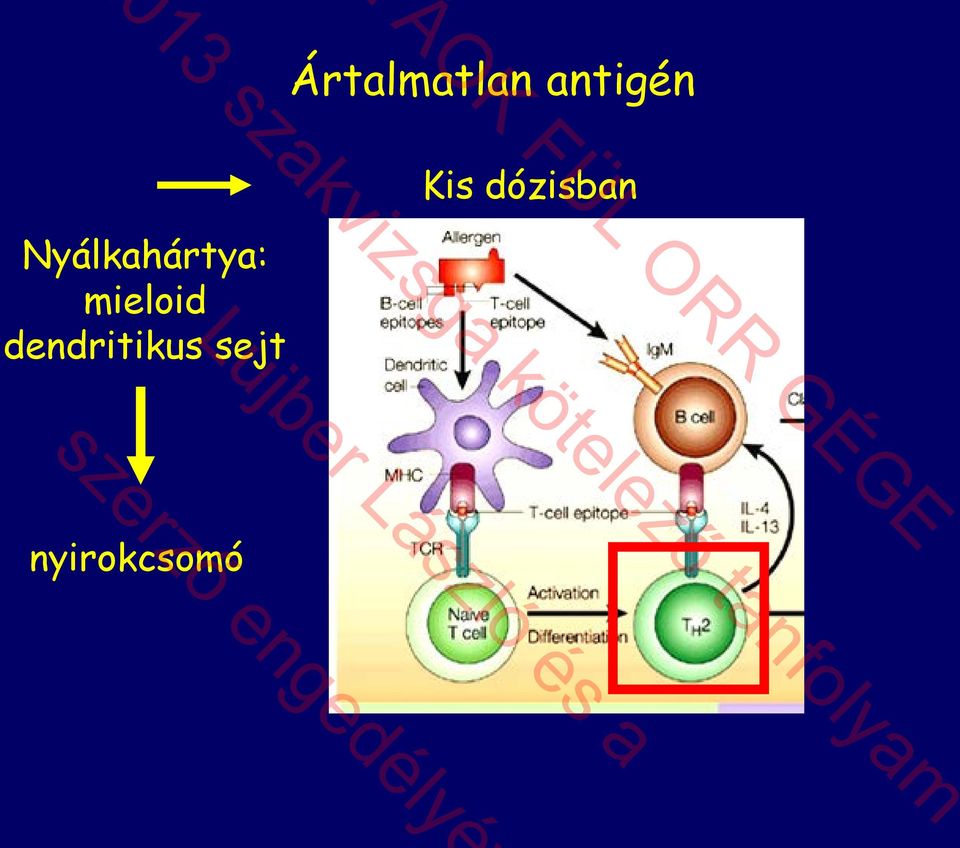 sejt Ártalmatlan