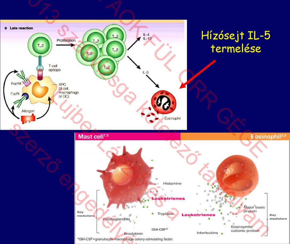 termelése