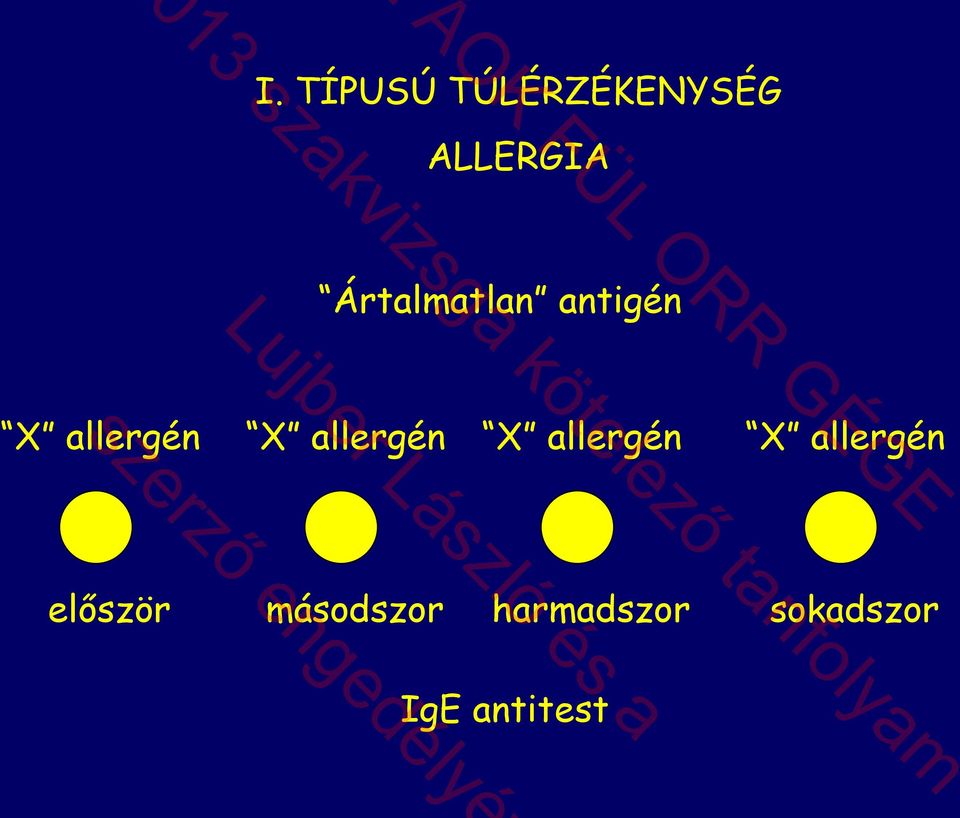 allergén először másodszor 013 szakvizsga