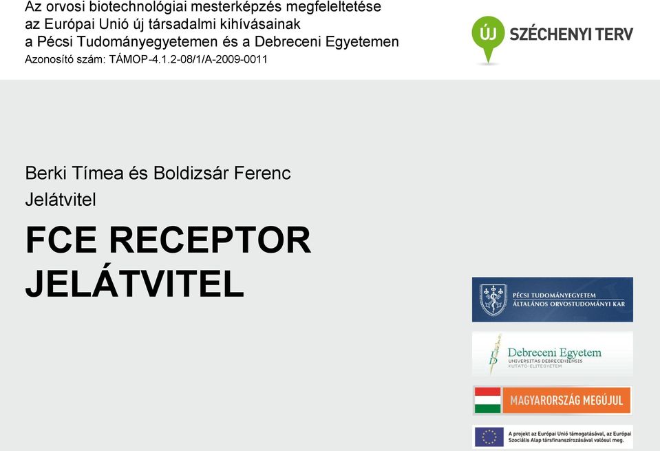 Debreceni Eyetemen Azonosító szám: TÁMO-4.1.