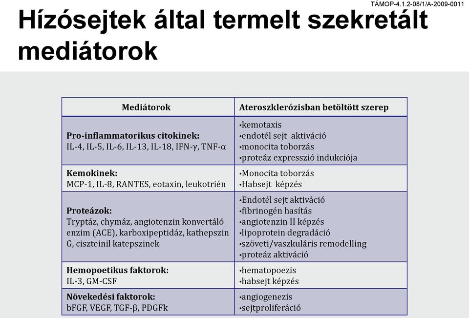 eotaxin, leukotrién roteázok: Tryptáz, chymáz, aniotenzin konvertáló enzim (ACE), karboxipeptidáz, kathepszin G, ciszteinil katepszinek Hemopoetikus faktorok: IL-3, GM-CSF övekedési