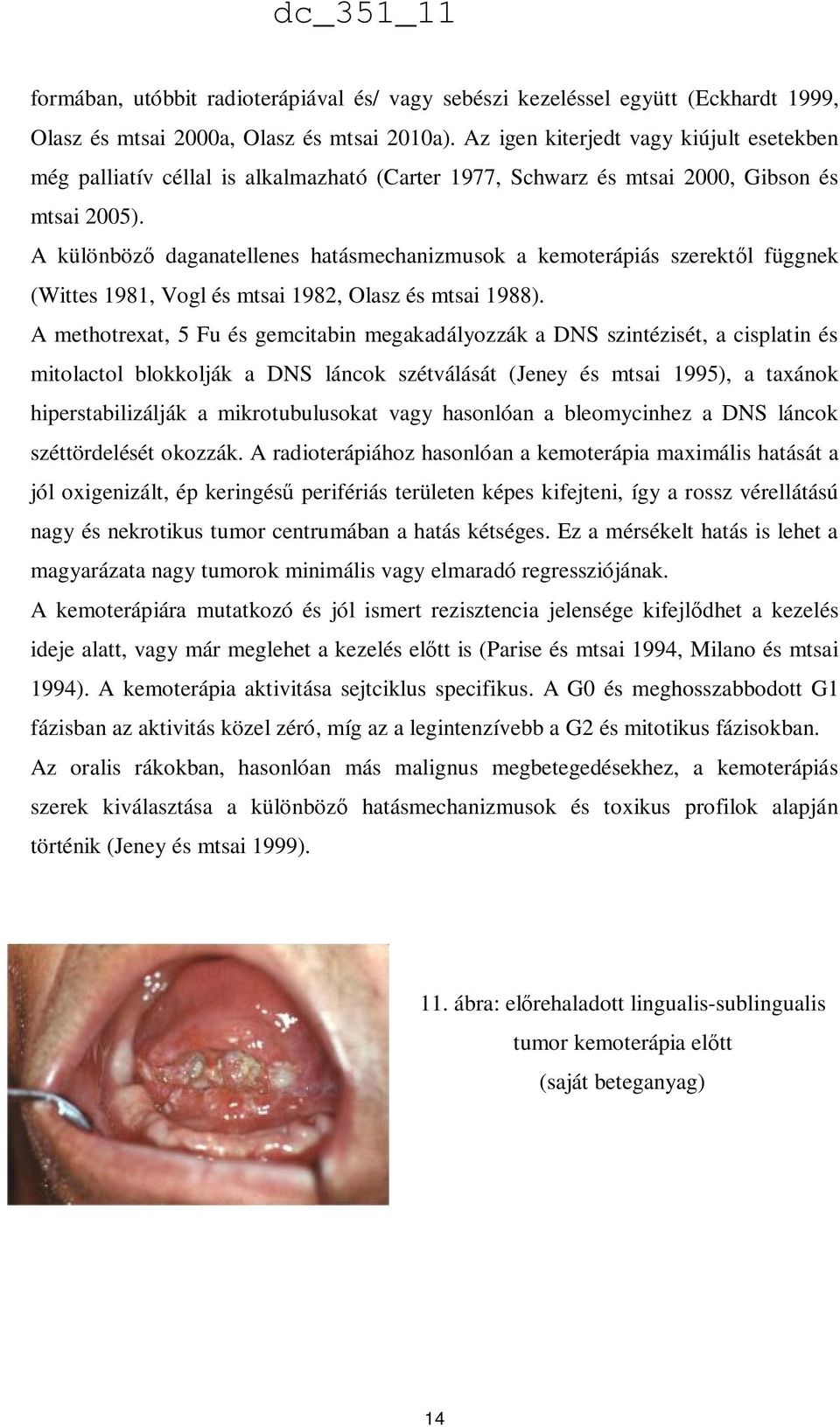 A különböző daganatellenes hatásmechanizmusok a kemoterápiás szerektől függnek (Wittes 1981, Vogl és mtsai 1982, Olasz és mtsai 1988).