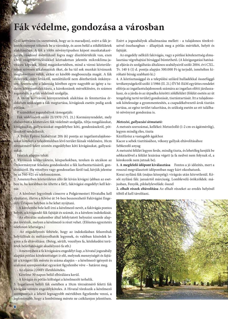 Gyál Város Önkormányzatának közéleti és információs lapja - PDF Ingyenes  letöltés