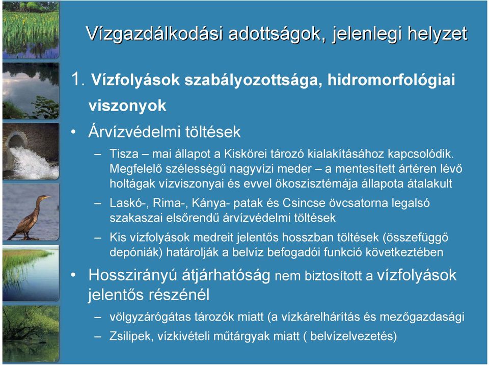 Megfelelő szélességű nagyvízi meder a mentesített ártéren lévő holtágak vízviszonyai és evvel ökoszisztémája állapota átalakult Laskó-, Rima-, Kánya- patak és Csincse övcsatorna legalsó