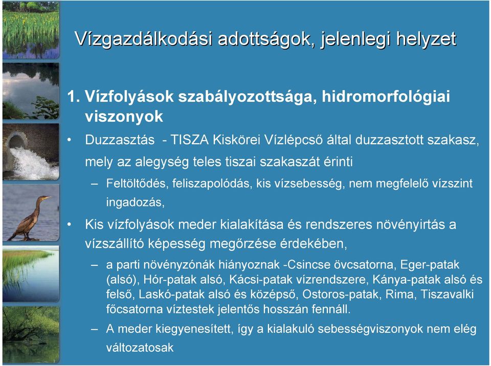 feliszapolódás, kis vízsebesség, nem megfelelő vízszint ingadozás, Kis vízfolyások meder kialakítása és rendszeres növényirtás a vízszállító képesség megőrzése érdekében, a parti