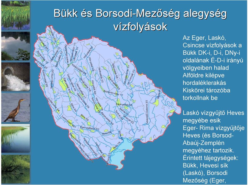 Érintett tájegységek: Bükk, Hevesi sík (Laskó), Borsodi Mezőség (Eger, Bükk és s Borsodi-Mez