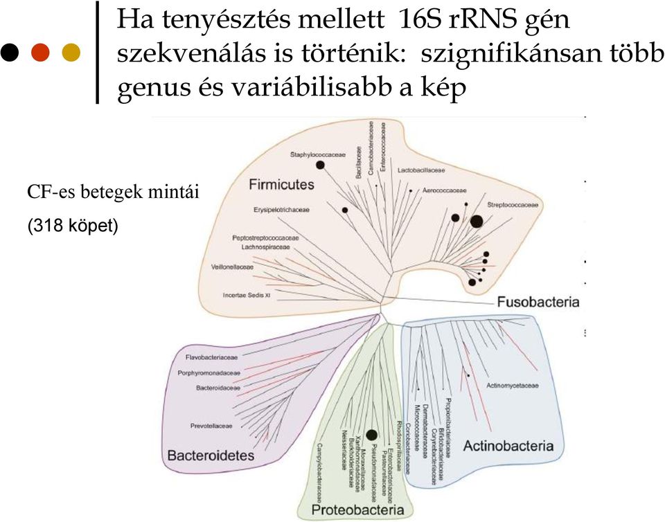 szignifikánsan több genus és