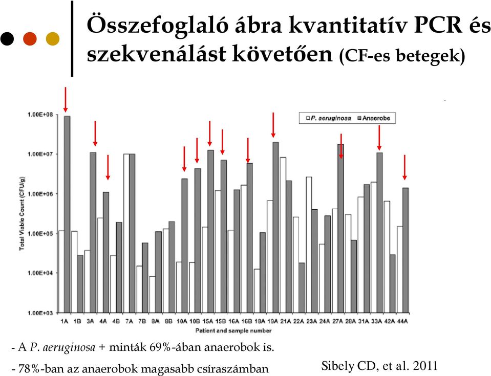 aeruginosa + minták 69%-ában anaerobok is.