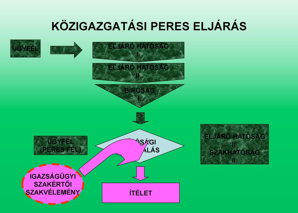 ÜGYFÉL (PERES FÉL) IGAZSÁGÜGYI SZAKÉRTŐI