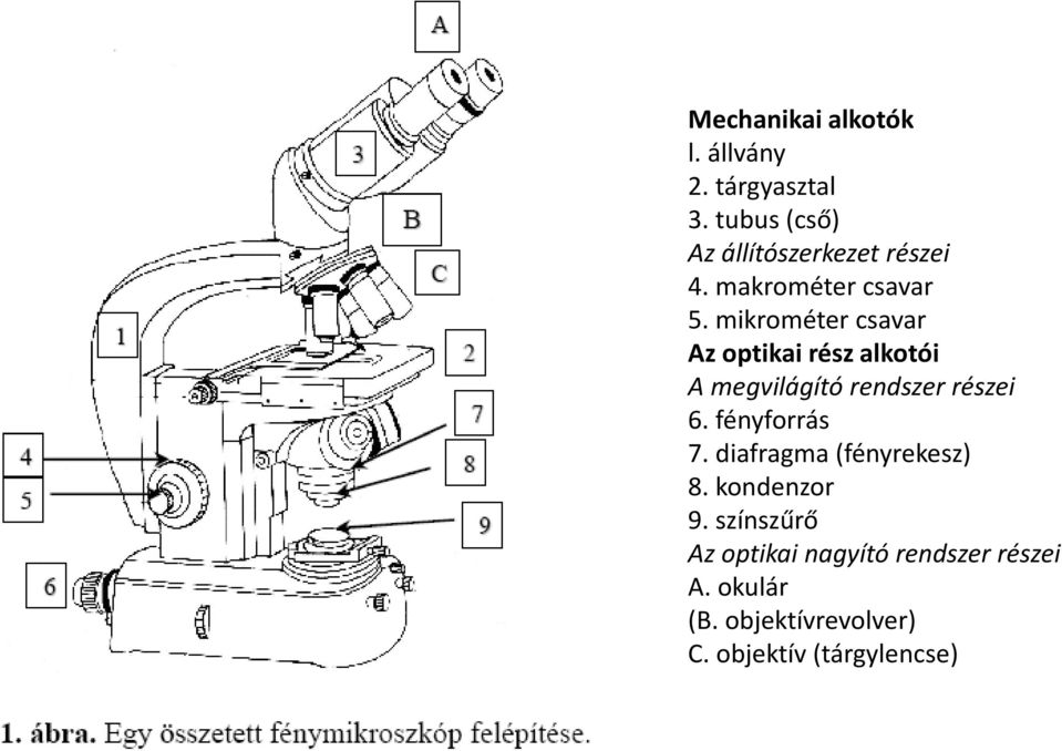 mikrométer csavar Az optikai rész alkotói A megvilágító rendszer részei 6.