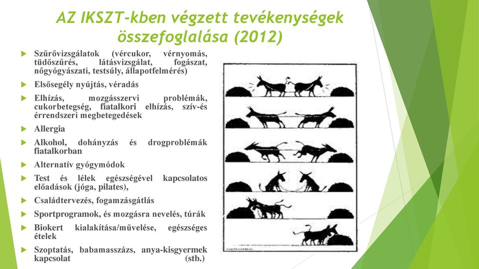 Allergia Alkohol, dohányzás és drogproblémák fiatalkorban Alternatív gyógymódok Test és lélek egészségével kapcsolatos előadások (jóga, pilates),